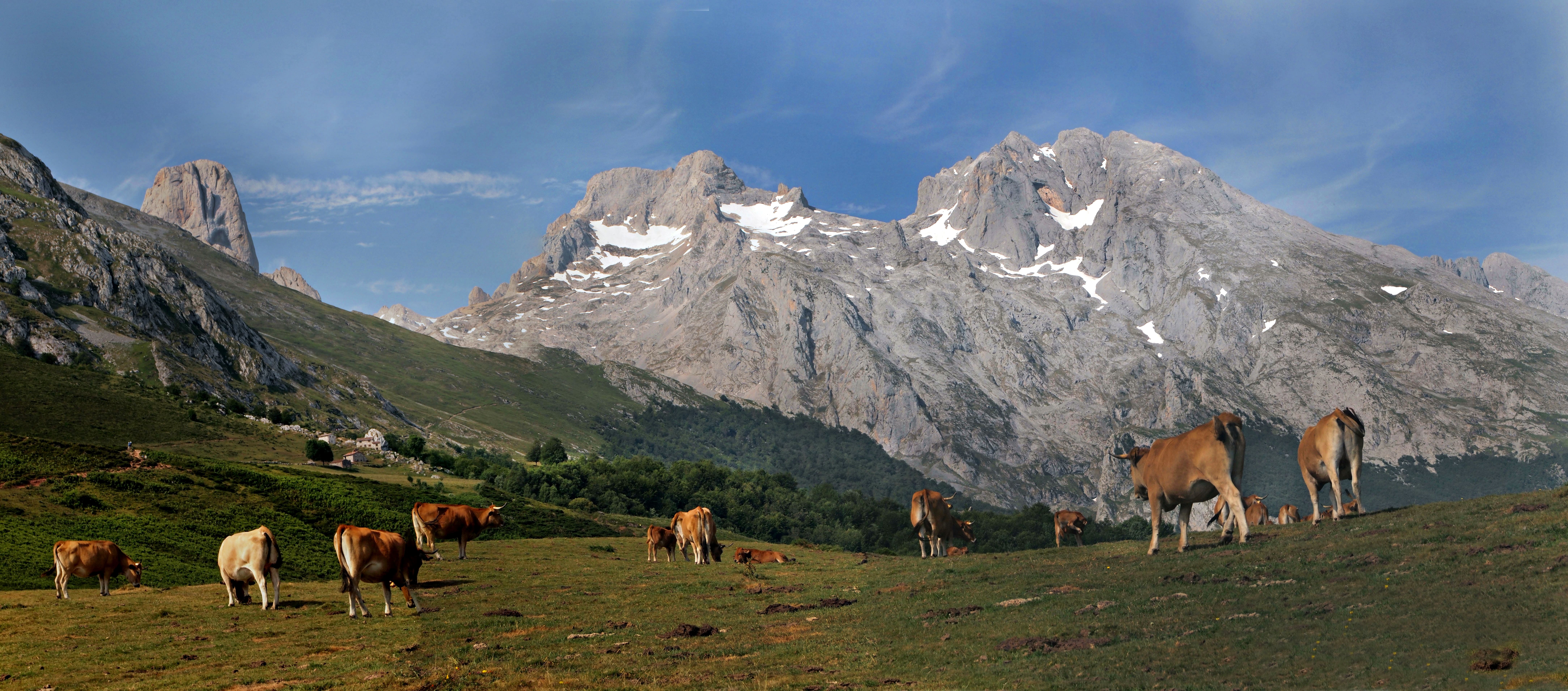 100 years of the Picos de Europa National Park