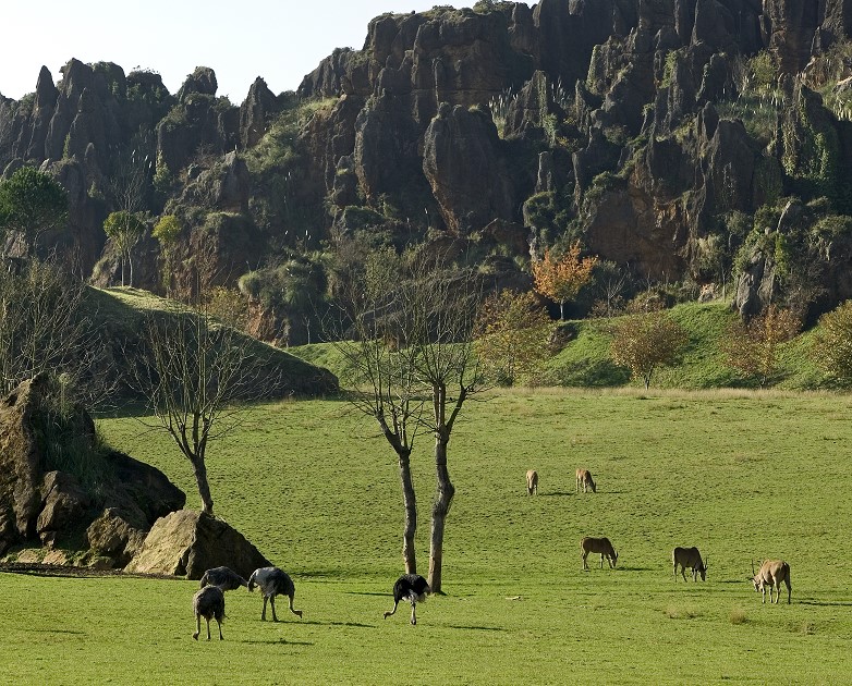The 10 visits that you shouldn’t miss