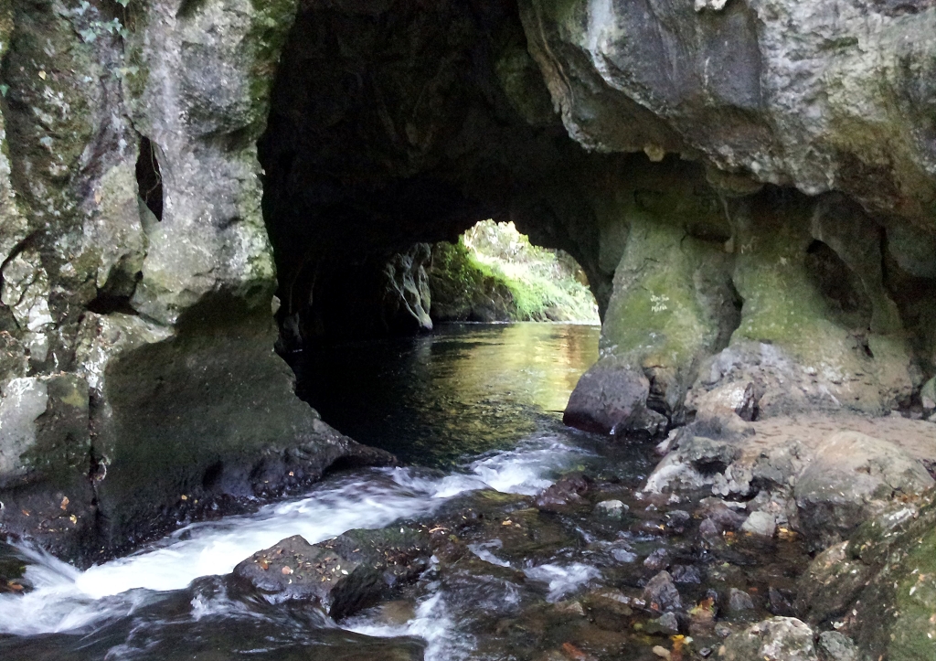 the Fuente del Francés