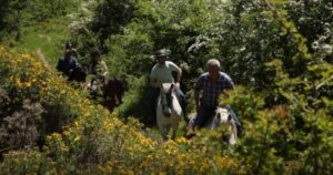 CANTABRIA A CABALLO