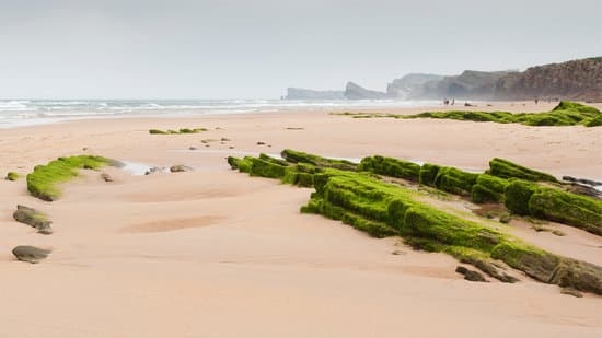 Playa de Canallave_Liencres, Cantabria,