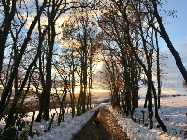 Camino-asfaltado-al-atardecer-Quintana_Orzales