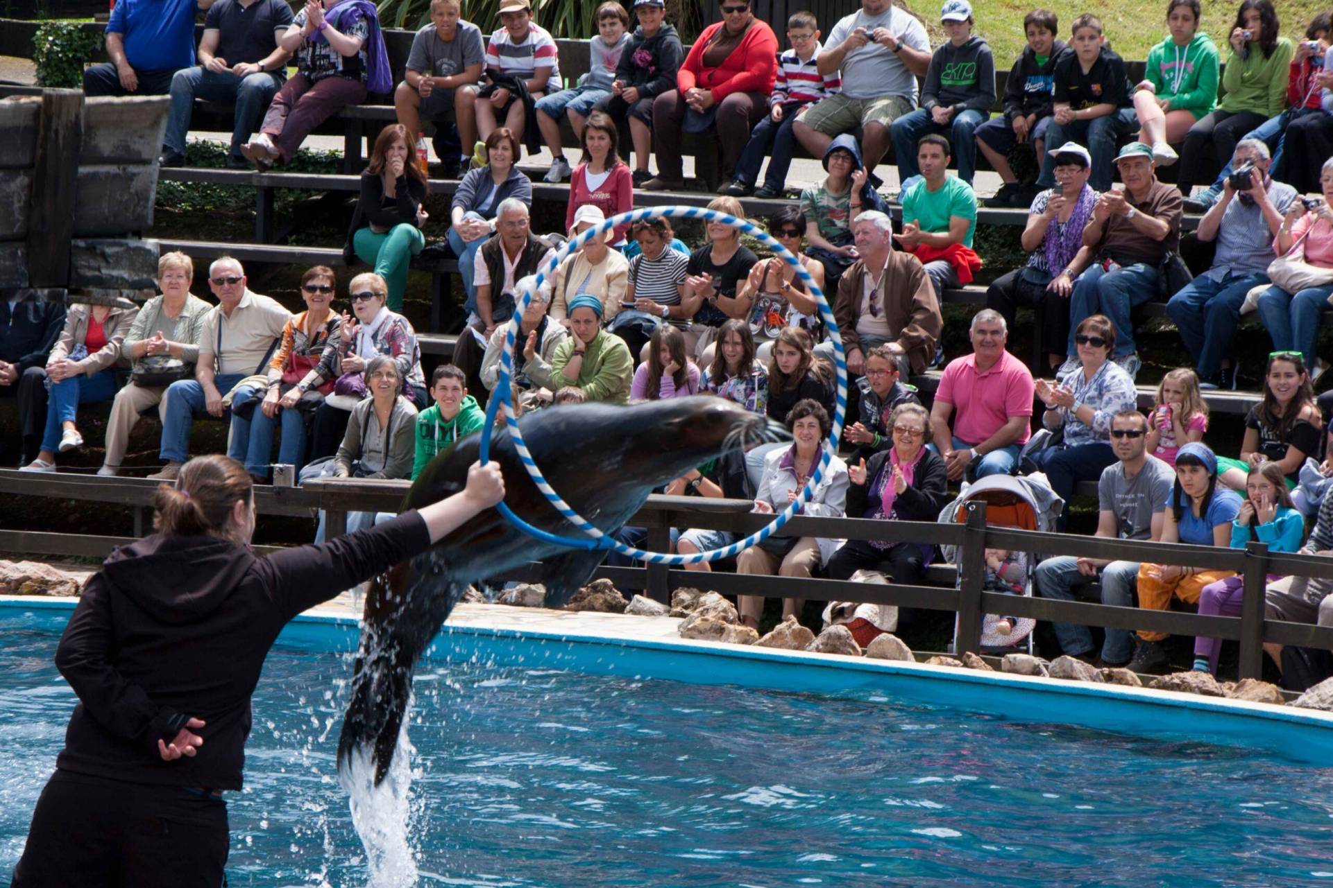 Cabárceno Park. Seals